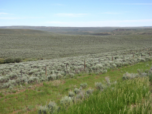 Entering High Chaparral Climate Zone.